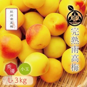 完熟 南高梅【 秀優品 Lサイズ 3kg 】梅干し用 クール便 送料無料 本場紀州産 和歌山 みなべ 田辺 生梅 梅 小玉 小粒 紀州の旬マルシェ 紀の｜kino-kishu