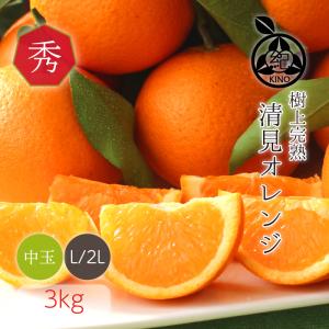 木熟 清見 オレンジ【 秀品 L/2L サイズ 3kg 】送料無料 葉付でお届けいたします 清見タンゴール 清見 きよみ キヨミ みかん 和歌山 紀南 果物 糖度 贈答 ギフト