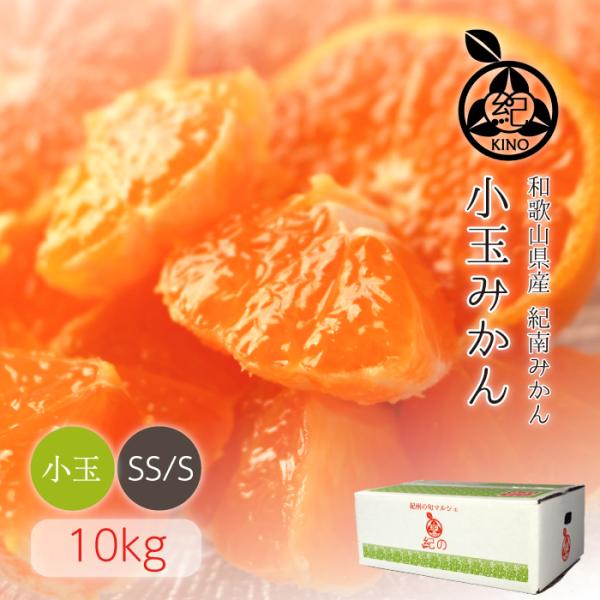 小玉みかん【10kg】送料無料 濃厚な甘みがギュッと詰まったみかん 小玉 小粒 SS S みかん 薄...