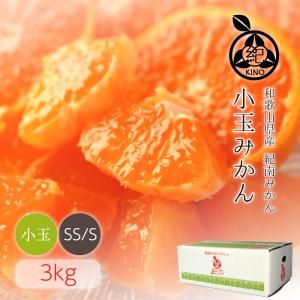 小玉みかん【3kg】送料無料 濃厚な甘みがギュッと詰まったみかん 小玉 小粒 みかん SS S 薄皮 家庭用 温州 和歌山 甘い 紀の