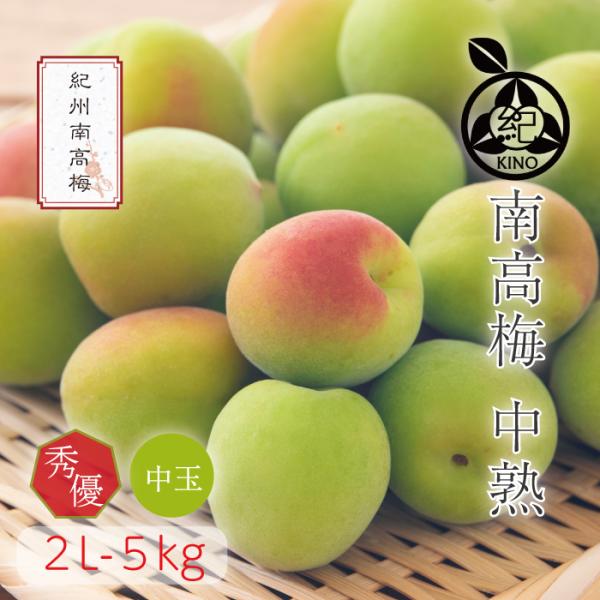 南高梅 送料無料 【本場紀州産】中熟【 2L サイズ 5kg 】和歌山 南部 みなべ 田辺 梅酒 梅...