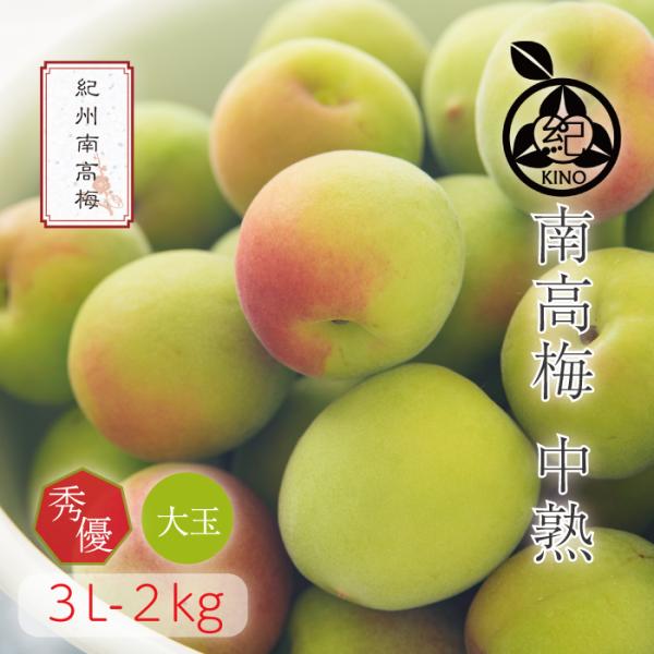 南高梅 送料無料 【本場紀州産】中熟【 3L サイズ 2kg 】和歌山 南部 みなべ 田辺 梅酒 梅...