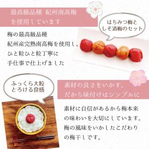 完熟 南高梅【はちみつ梅 300gx2パック ...の詳細画像2