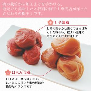 完熟 南高梅【はちみつ梅 300gx2パック ...の詳細画像4