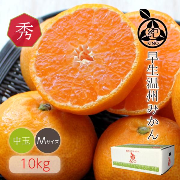 早生温州みかん【 秀品 M サイズ 10kg 】送料無料 みかん 温州みかん 高糖度 温州 中玉 和...