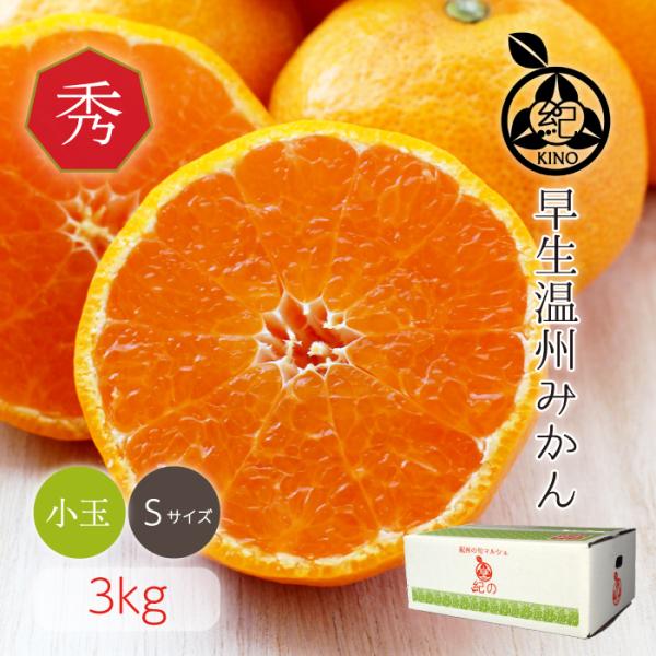 早生温州みかん【 秀品 S サイズ 3kg 】送料無料 みかん 温州みかん 高糖度 小玉 小粒 和歌...