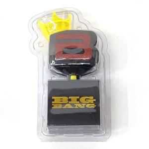 BIGBANG ALIVE TOUR 2012 IN JAPAN SPECIAL FINAL IN DOME ペンライト スティックライト　※中古/難有