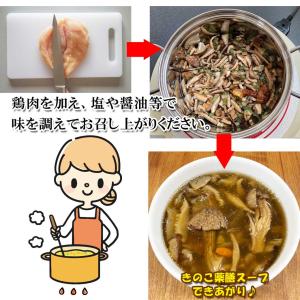 きのこ 薬膳スープの素 60gの詳細画像2