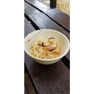 国産 乾燥野菜 100gの詳細画像5