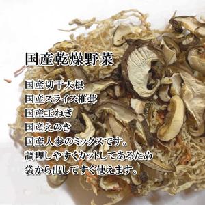 国産 乾燥野菜 100gの詳細画像1