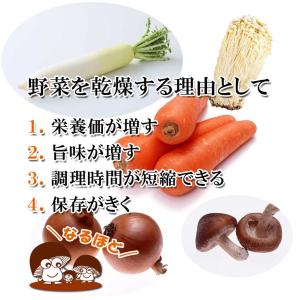 国産 乾燥野菜 100gの詳細画像2