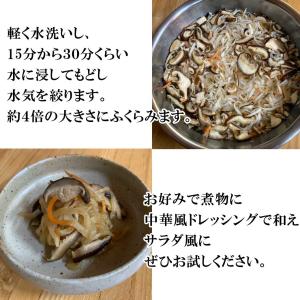 国産 乾燥野菜 100gの詳細画像3