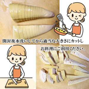 国産 たけのこ 水煮 200gの詳細画像3