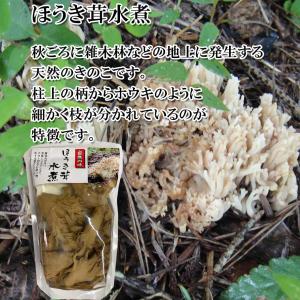 ほうき茸 水煮 100gの詳細画像1