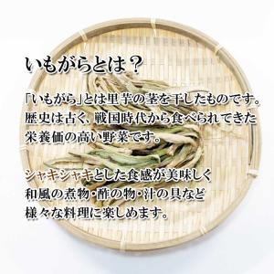 国産 乾燥 いもがらカット 20gの詳細画像1