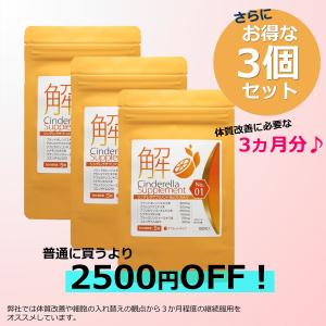 超お買い得3個セット2500円お得に お腹の脂肪が気になる方に 分解系 ダイエット サプリ お腹の脂肪 内臓脂肪 対策に やせたい 方向け ダイエット サプリメント