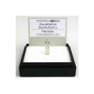 アロサウルスの爪（レプリカ） FR007 : 紀伊國屋書店Yahoo!店 - 通販