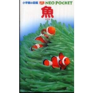 小学館の図鑑ＮＥＯ　ＰＯＣＫＥＴ  魚