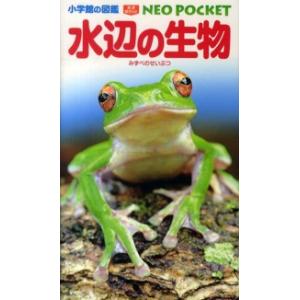 小学館の図鑑ＮＥＯ　ＰＯＣＫＥＴ  水辺の生物