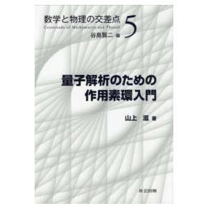 数学と物理の交差点 量子解析のための作用素環入門