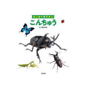 はじめてのずかん  はじめてのずかん　こんちゅう