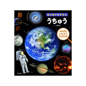 いのちのまつり ヌチヌグスージ/草場一壽/平安座資尚 : bookfan