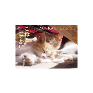 ［カレンダー］  こねこのせかい　Ｋｉｔｔｅｎ　Ｃａｌｅｎｄａｒ【Ｓ１７】 〈２０２４〉