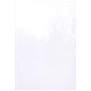 島田荘司全集〈９〉御手洗潔のダンス　踊る手なが猿　暗闇坂の人喰いの木