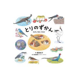 コドモエのえほん とりのずかん - ものしりあいうえお