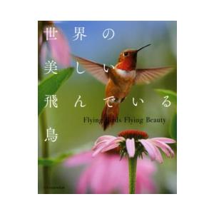 世界の美しい飛んでいる鳥―Ｆｌｙｉｎｇ　Ｂｉｒｄｓ　Ｆｌｙｉｎｇ　Ｂｅａｕｔｙ