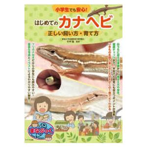 まなぶっく  小学生でも安心！はじめてのカナヘビ―正しい飼い方・育て方