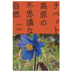 チベット高原の不思議な自然