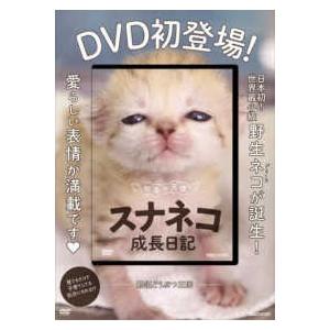 ＜ＤＶＤ＞  ＤＶＤ＞砂漠の天使スナネコ成長日記 - ＤＶＤ初登場！