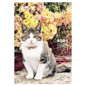 ２０２４　岩合光昭　ねこ　ｄｉａｒｙ＆ｓｃｈｅｄｕｌｅ