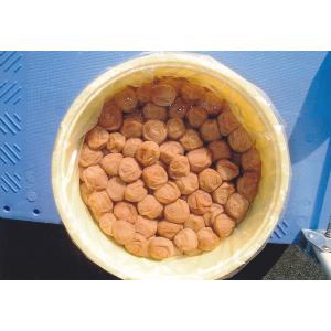 紀州南高梅 紀州いなか漬 しそ入り 600g ...の詳細画像4