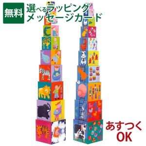 DJECO（ジェコ） djeco 10 ファニー ブロックス 1歳 1才 ブロック