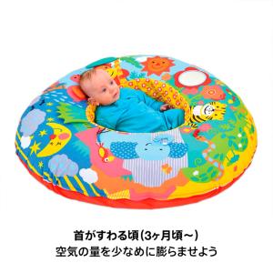 BorneLund(ボーネルンド )GALT社...の詳細画像2