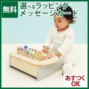 楽器玩具 エドインター スウィートメロディーメーカー 1歳 おもちゃ 知育玩具 クリスマス プレゼント 入園 入学｜kinoomocha