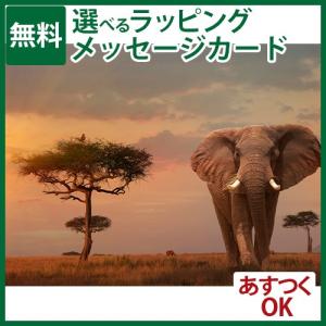 知育玩具/パズル 大人用 Ravensburger ラベンスバーガー マサイ・マラ国立公園の象 1000ピース 動物 ジグソーパズル 入園 入学｜kinoomocha