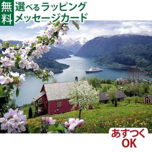 知育玩具/パズル 大人用 Ravensburger ラベンスバーガー スカンジナビアの風景 500ピース 風景 ジグソーパズル