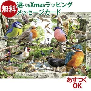 ジグソーパズル 1000ピース パズル 大人用 Ravensburger ラベンスバーガー フェザー フレンズ 動物