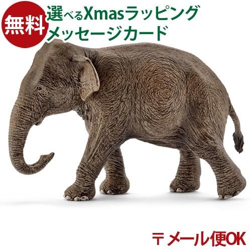 メール便OK schleich 14753 シュライヒ 動物 フィギュア インド象（メス）  3歳 ...