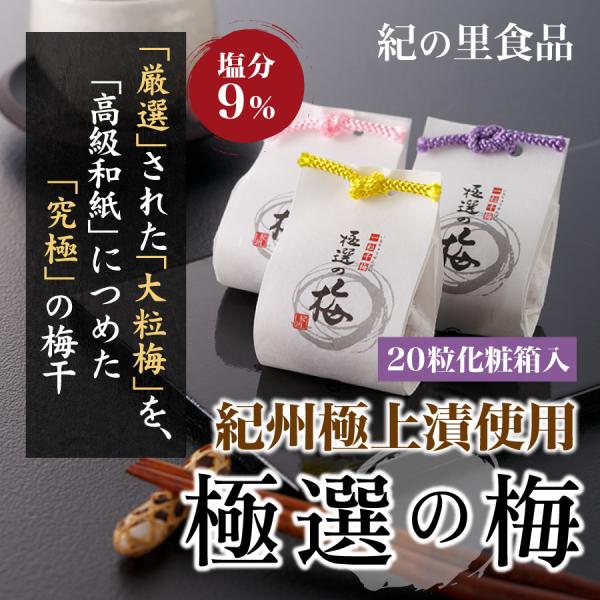 梅干し 極選の梅 20粒化粧箱入 紀の里食品 梅干 南高梅 大粒 高級和紙 個包装 ギフト 贈答 産...