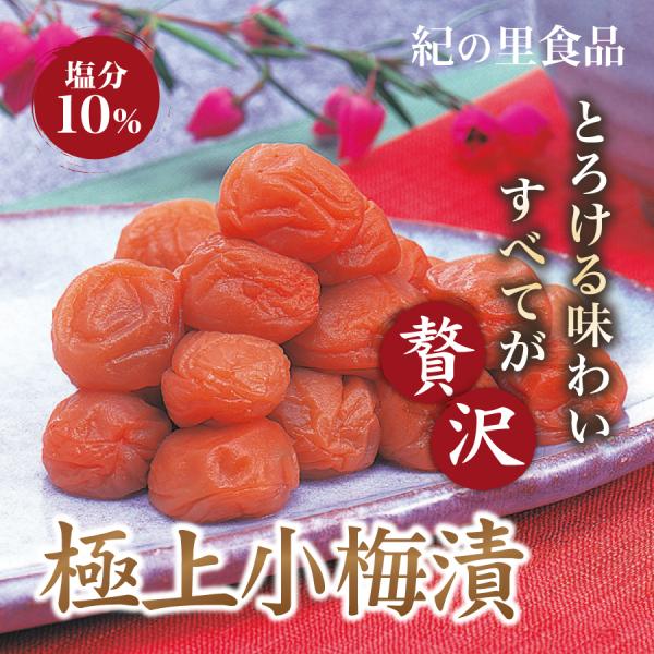 梅干し 極上小梅漬 紀の里食品 500g 梅干 南高梅 ギフト 贈答 産地直送 和歌山 紀州産