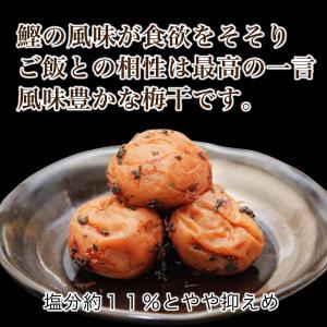 梅干し 家庭用かつお梅 1.5kg 紀の里食品...の詳細画像2