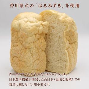 木下製粉 はるみずき 25kg パン用 強力粉...の詳細画像3