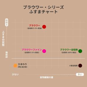木下製粉 ブラウワー全粒粉 3kg(250g×...の詳細画像2
