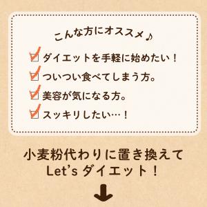 おからパウダー 500g 超微粉 乾燥おから ...の詳細画像2