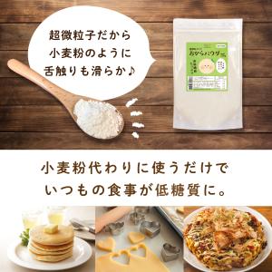 おからパウダー 500g 超微粉 乾燥おから ...の詳細画像5