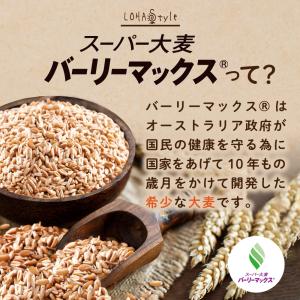 スーパー大麦 バーリーマックス 2kg もち麦...の詳細画像3